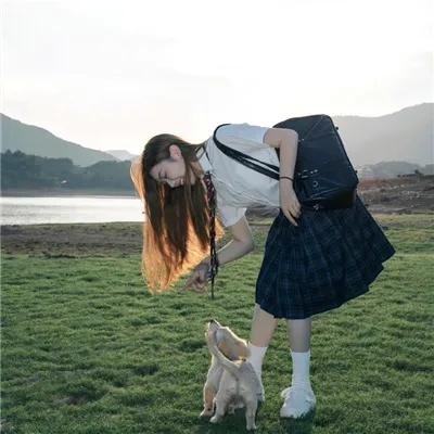遥远的格桑花